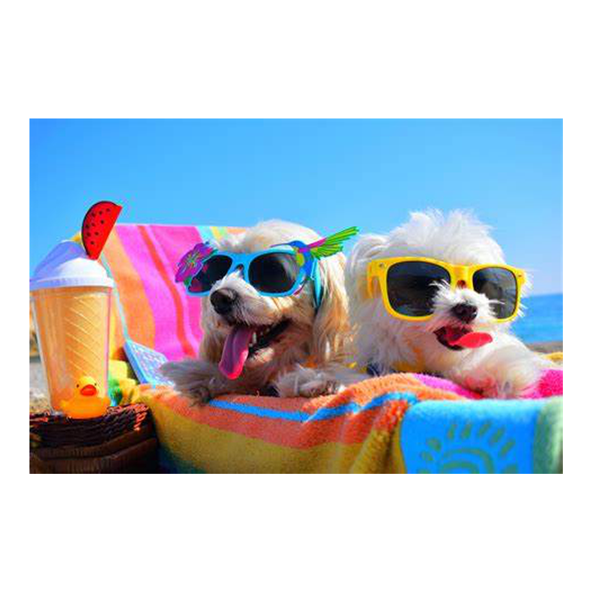 Accesorios verano